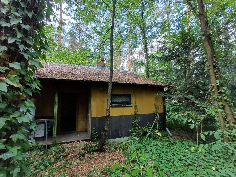 Działka leśna letniskowa z domkiem Wilkowyja